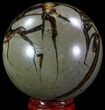 Polished Septarian Sphere - Madagascar #67843-1